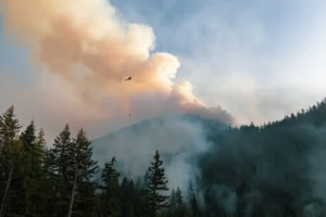 Helicopter flying over pacific northwest forest wildfire